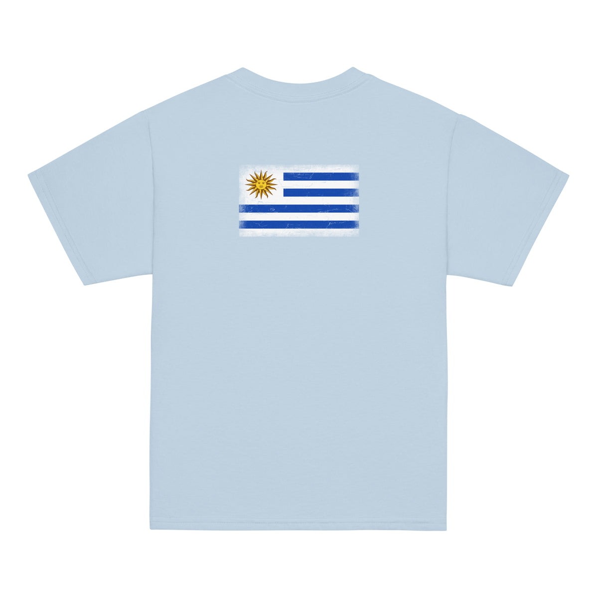 Uruguay flag t-shirt in Light Blue, vintage-washed print, flag across the upper back, kids cut, back view