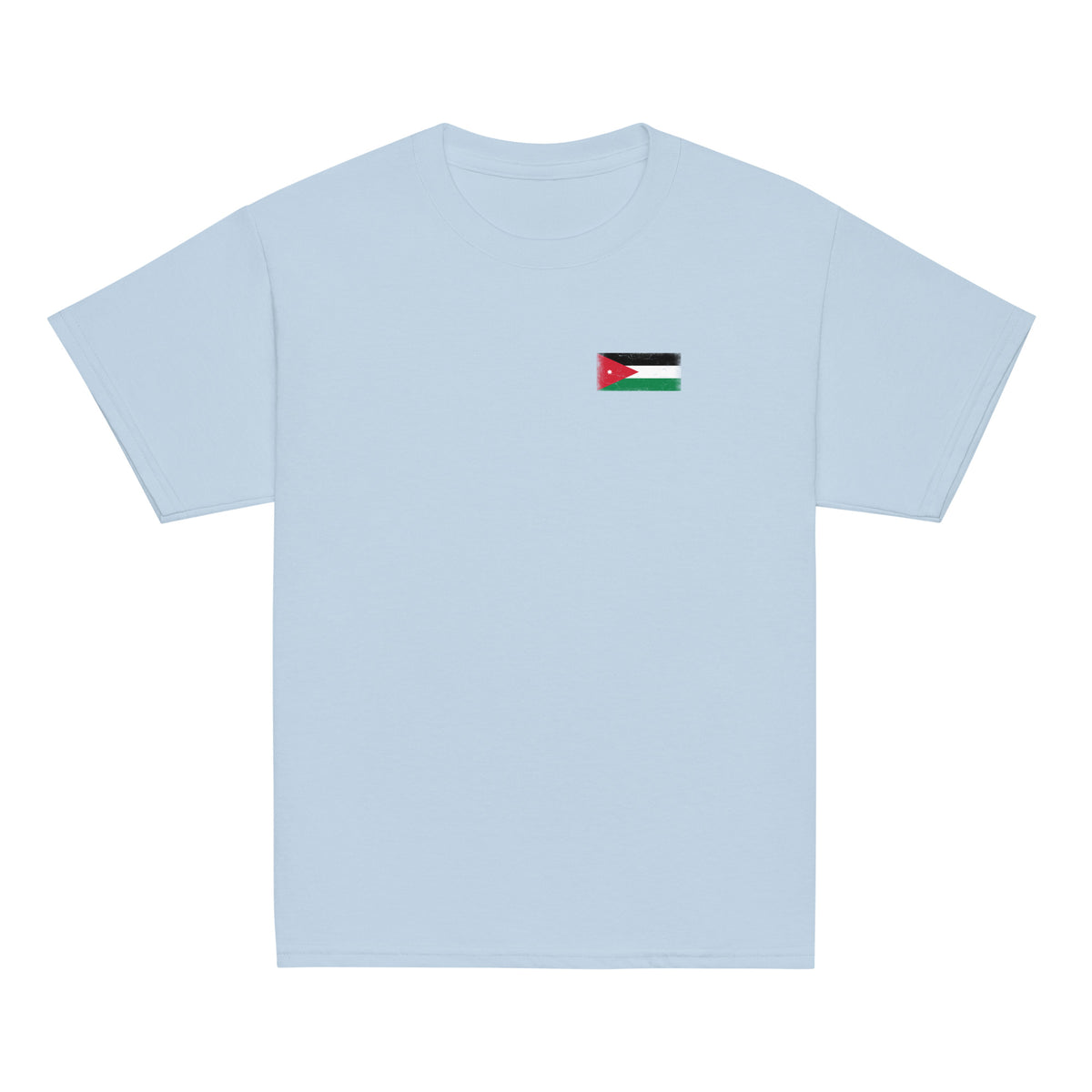 Jordan flag t-shirt in Light Blue, vintage-washed print, small flag on the left chest, kids cut, front view
