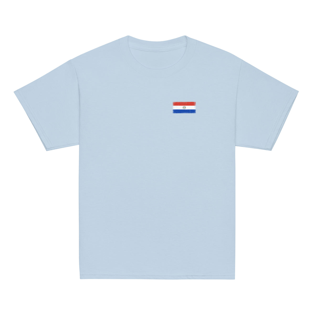 Paraguay flag t-shirt in Light Blue, vintage-washed print, small flag on the left chest, kids cut, front view