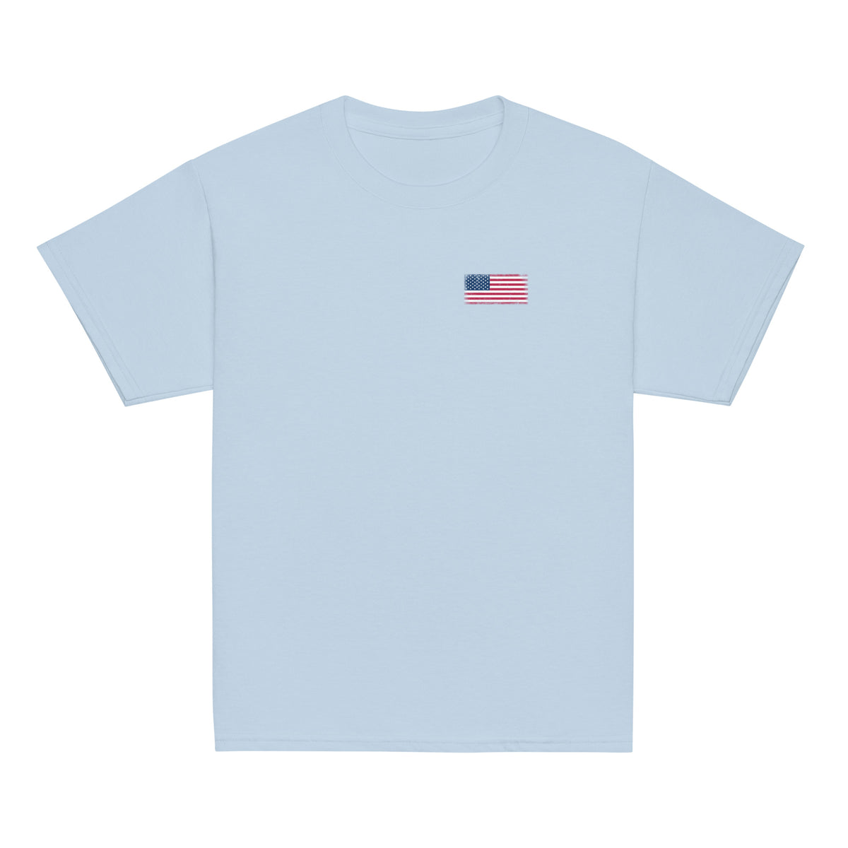 USA flag t-shirt in Light Blue, vintage-washed print, small flag on the left chest, kids cut, front view