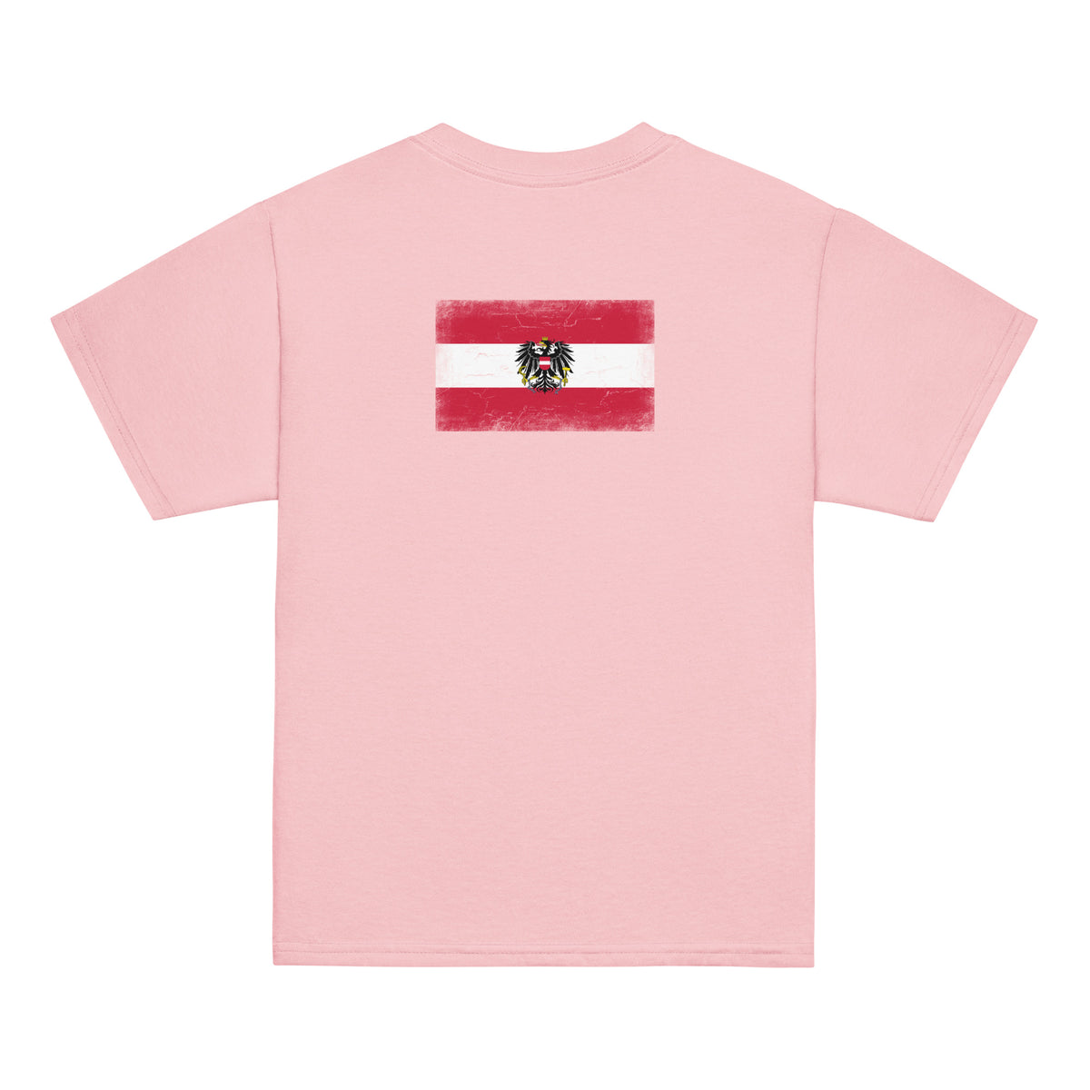 Austria flag t-shirt in Light Pink, vintage-washed print, flag across the upper back, kids cut, back view