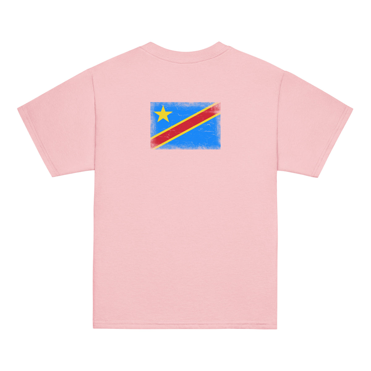 Congo flag t-shirt in Light Pink, vintage-washed print, flag across the upper back, kids cut, back view