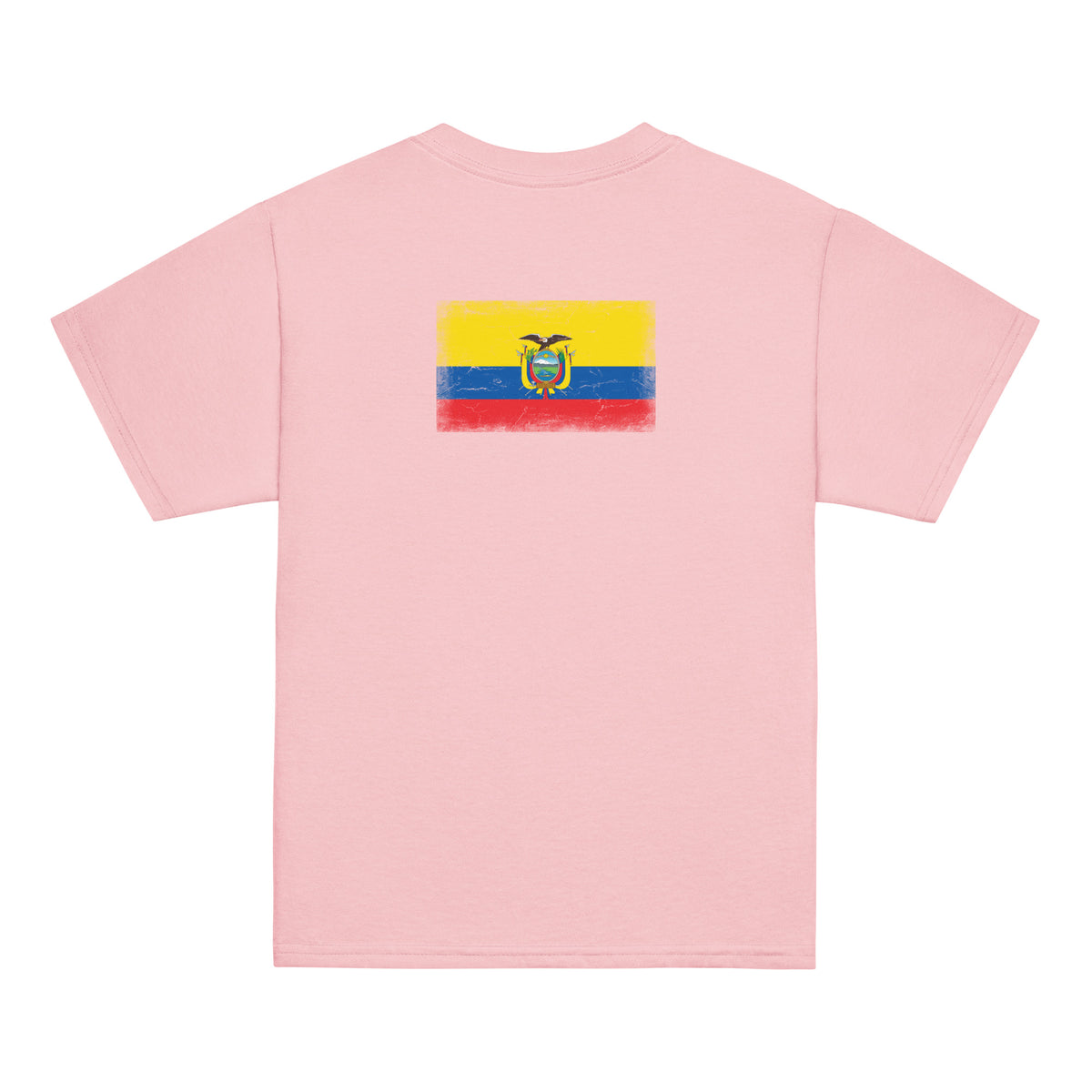 Ecuador flag t-shirt in Light Pink, vintage-washed print, flag across the upper back, kids cut, back view