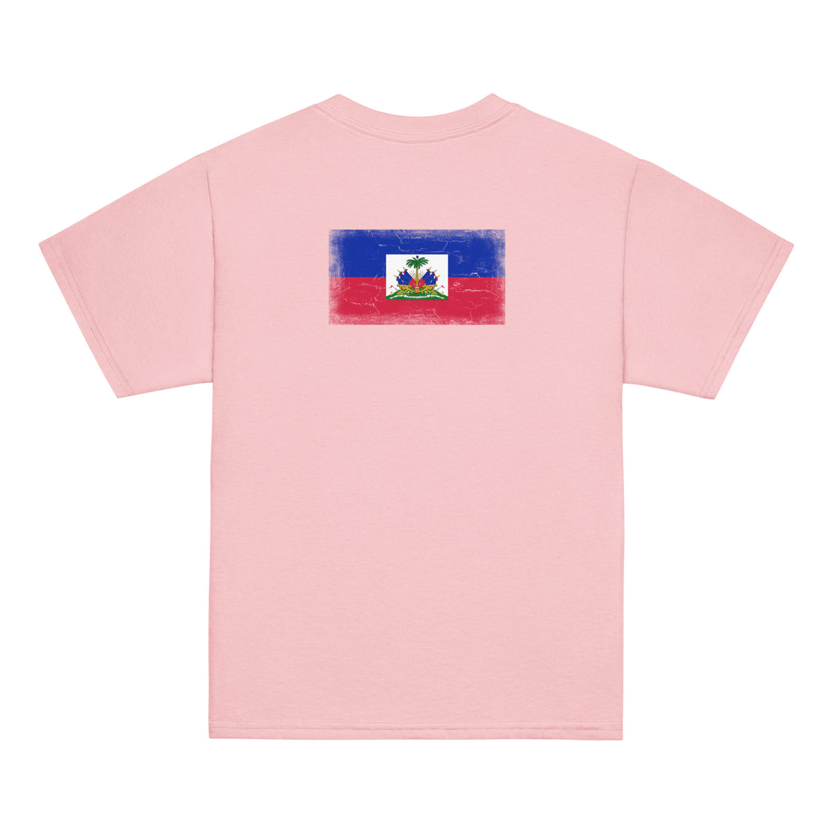Haiti flag t-shirt in Light Pink, vintage-washed print, flag across the upper back, kids cut, back view