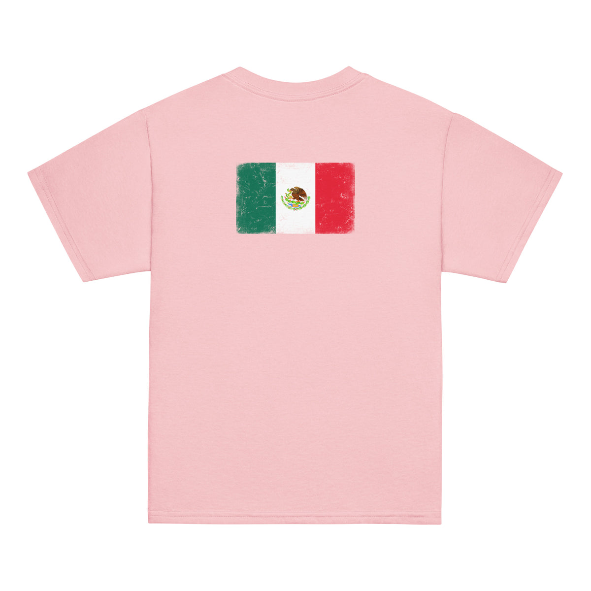 Mexico flag t-shirt in Light Pink, vintage-washed print, flag across the upper back, kids cut, back view