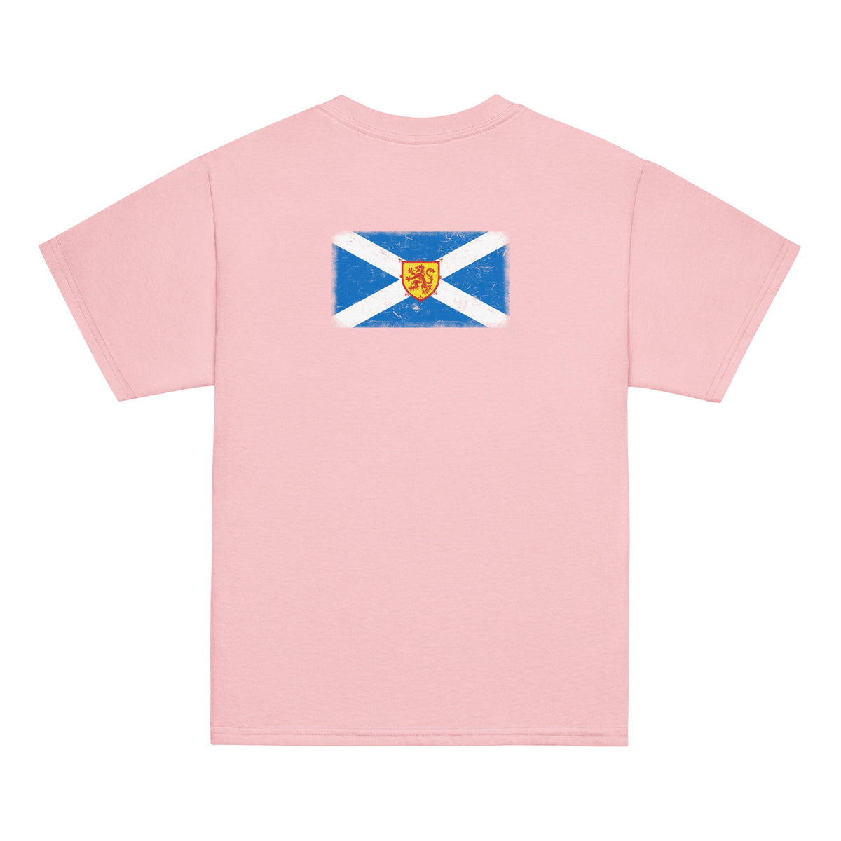 Scotland flag t-shirt in Light Pink, vintage-washed print, flag across the upper back, kids cut, back view