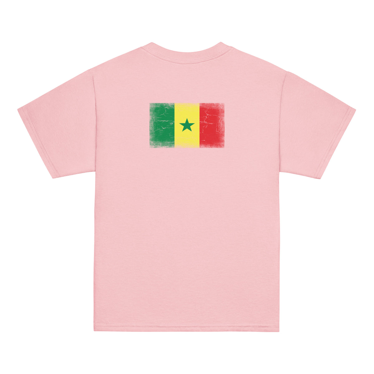 Senegal flag t-shirt in Light Pink, vintage-washed print, flag across the upper back, kids cut, back view