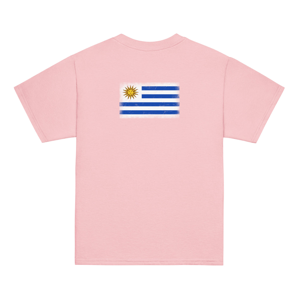 Uruguay flag t-shirt in Light Pink, vintage-washed print, flag across the upper back, kids cut, back view