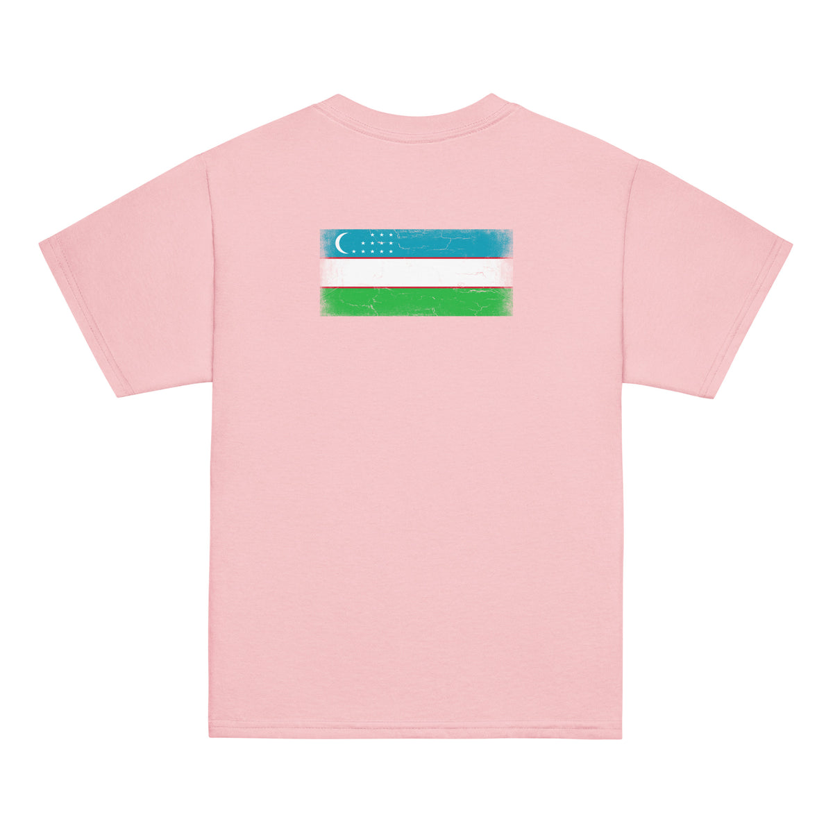 Uzbekistan flag t-shirt in Light Pink, vintage-washed print, flag across the upper back, kids cut, back view