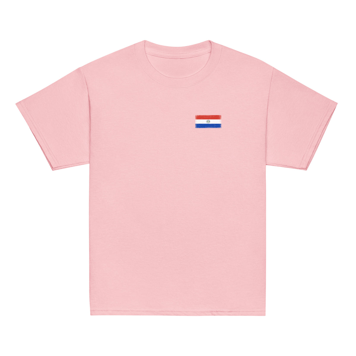 Paraguay flag t-shirt in Light Pink, vintage-washed print, small flag on the left chest, kids cut, front view