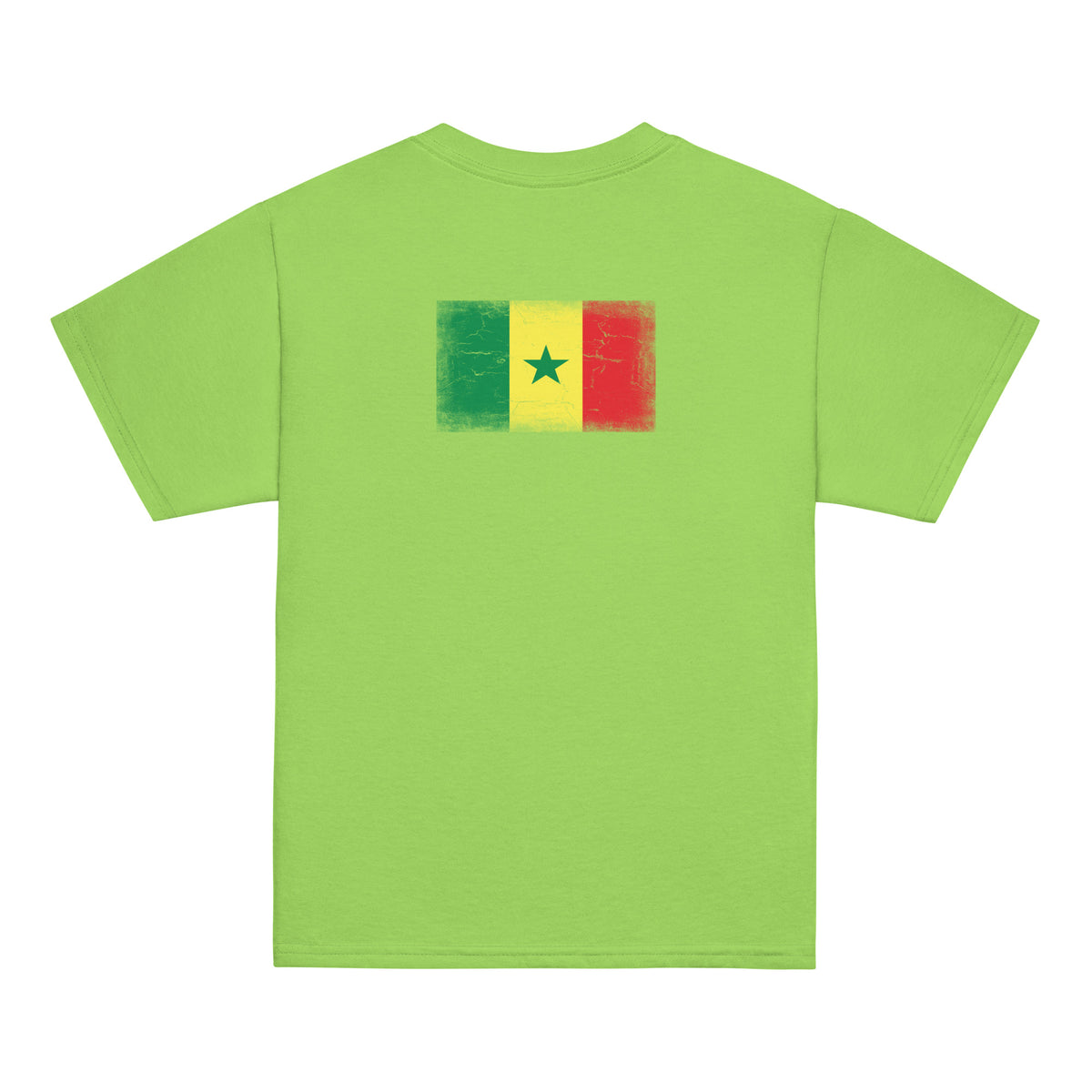 Senegal flag t-shirt in Lime, vintage-washed print, flag across the upper back, kids cut, back view