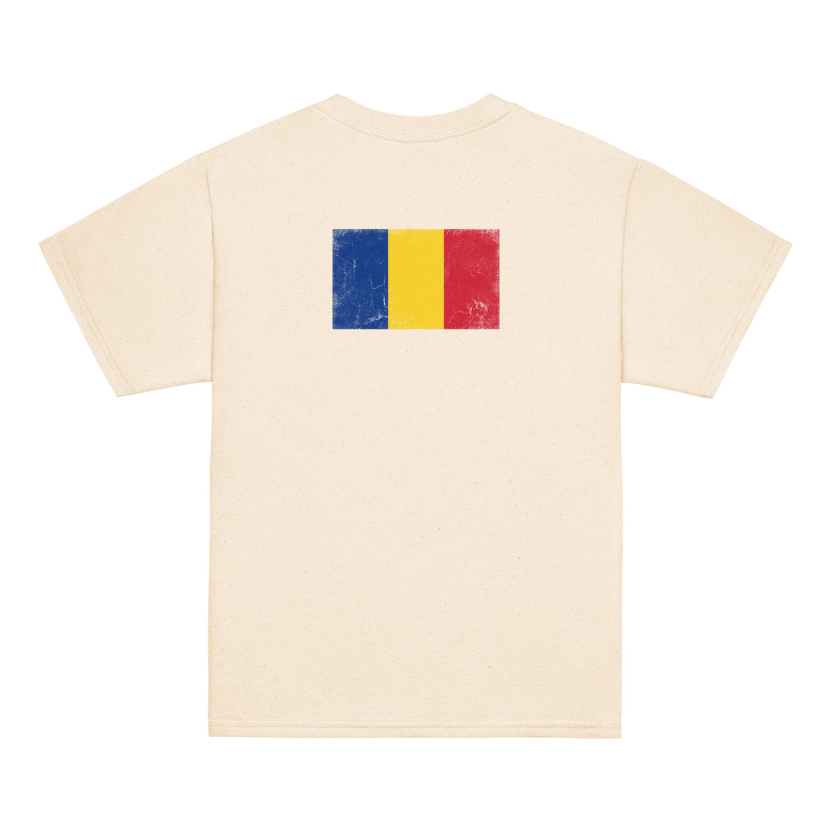 Romania flag t-shirt in Natural, vintage-washed print, flag across the upper back, kids cut, back view