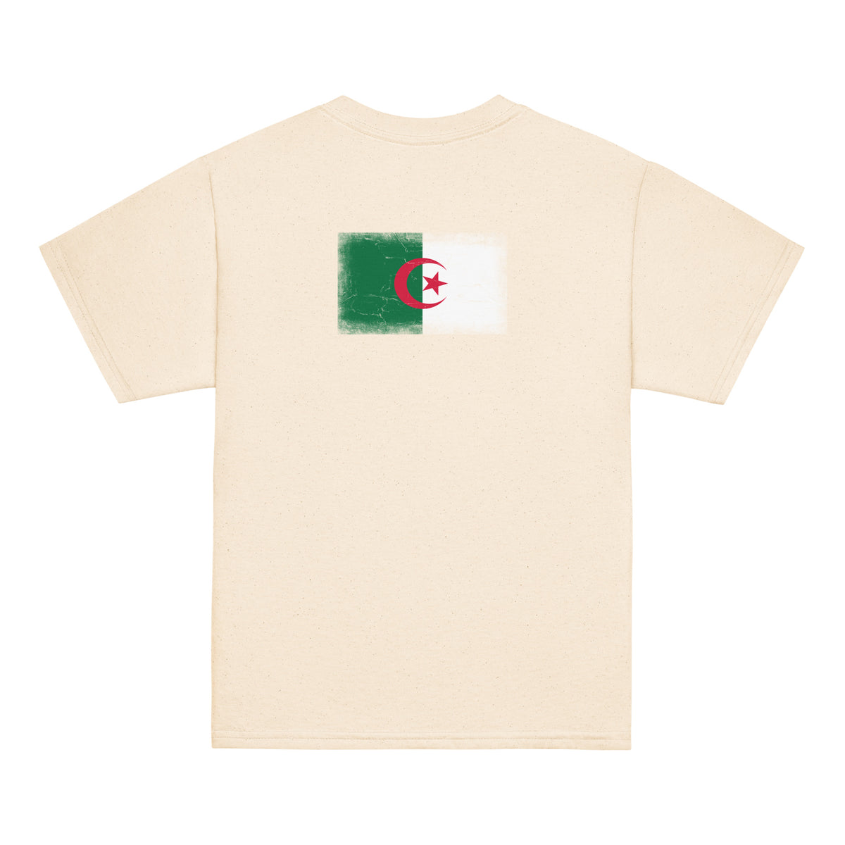 Algeria flag t-shirt in Natural, vintage-washed print, flag across the upper back, kids cut, back view