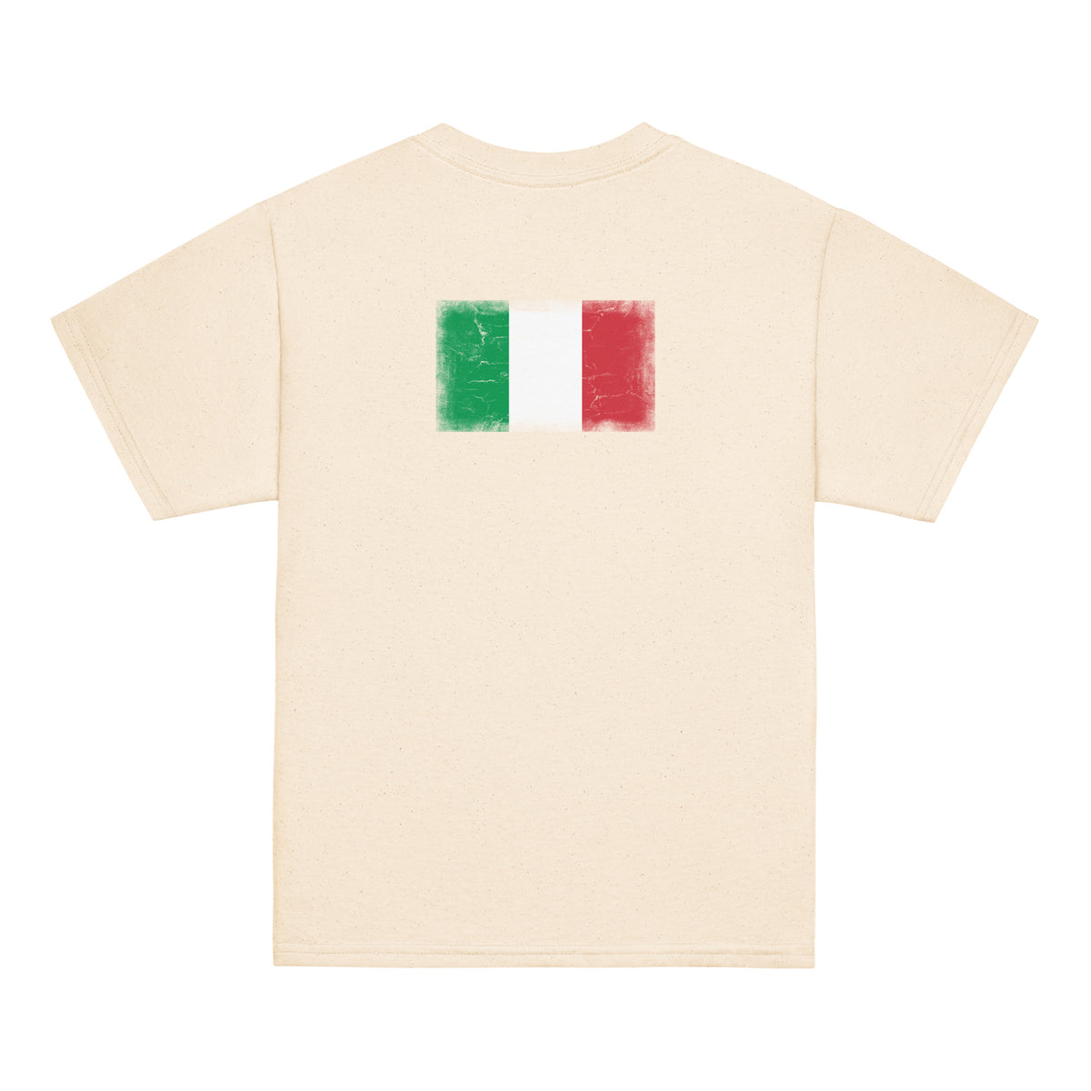 Italy flag t-shirt in Natural, vintage-washed print, flag across the upper back, kids cut, back view