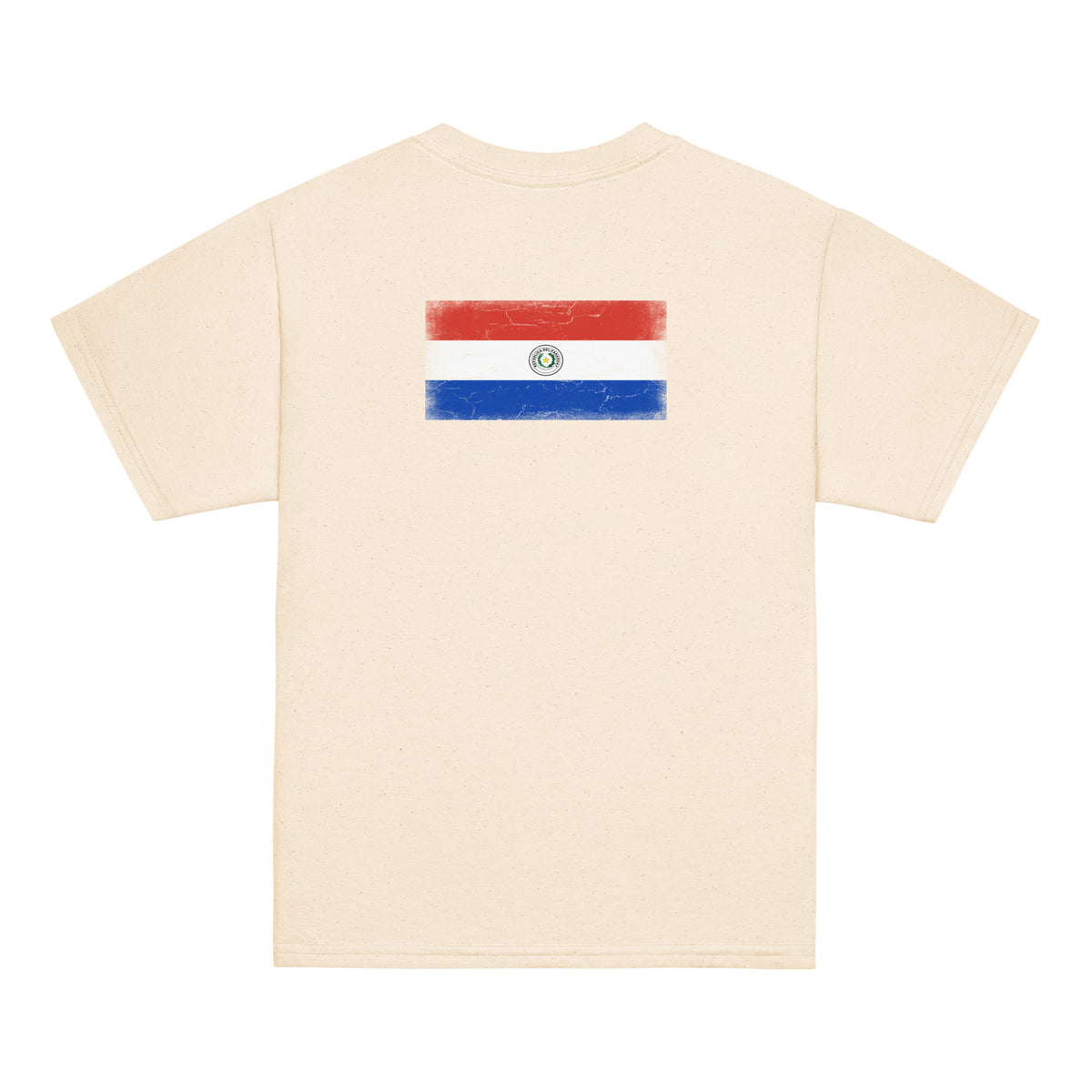 Paraguay flag t-shirt in Natural, vintage-washed print, flag across the upper back, kids cut, back view