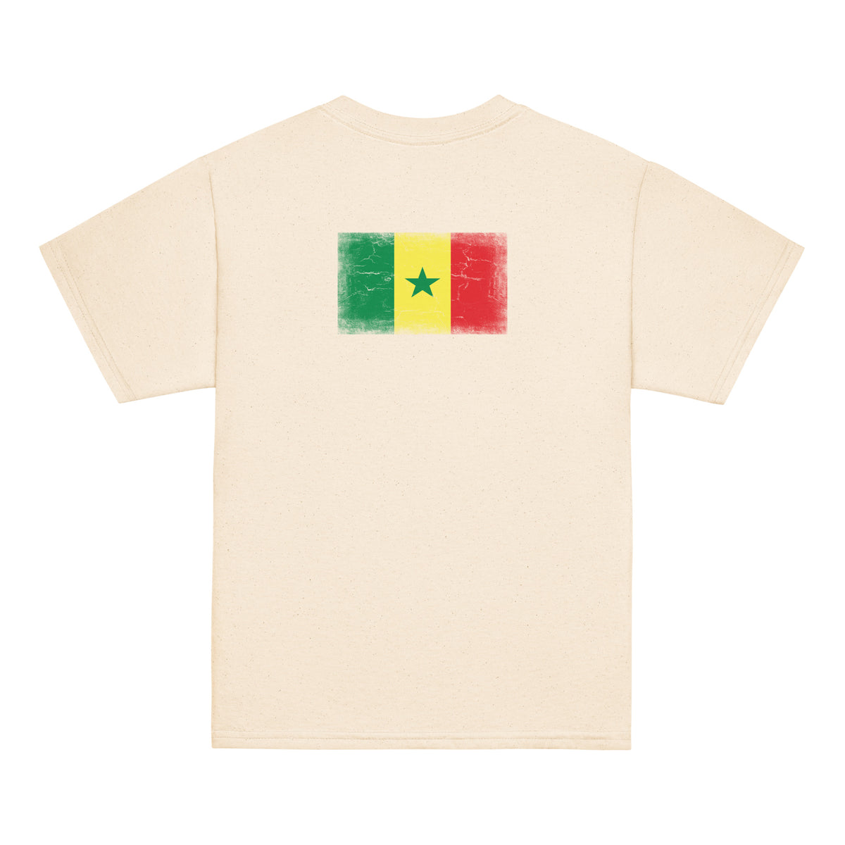 Senegal flag t-shirt in Natural, vintage-washed print, flag across the upper back, kids cut, back view