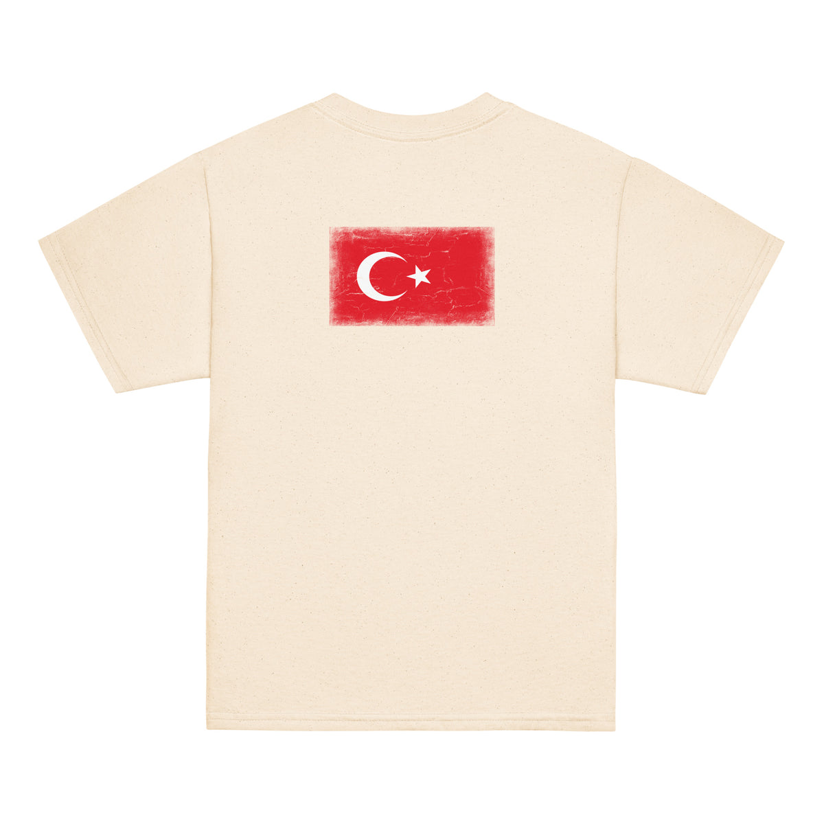 Turkey flag t-shirt in Natural, vintage-washed print, flag across the upper back, kids cut, back view