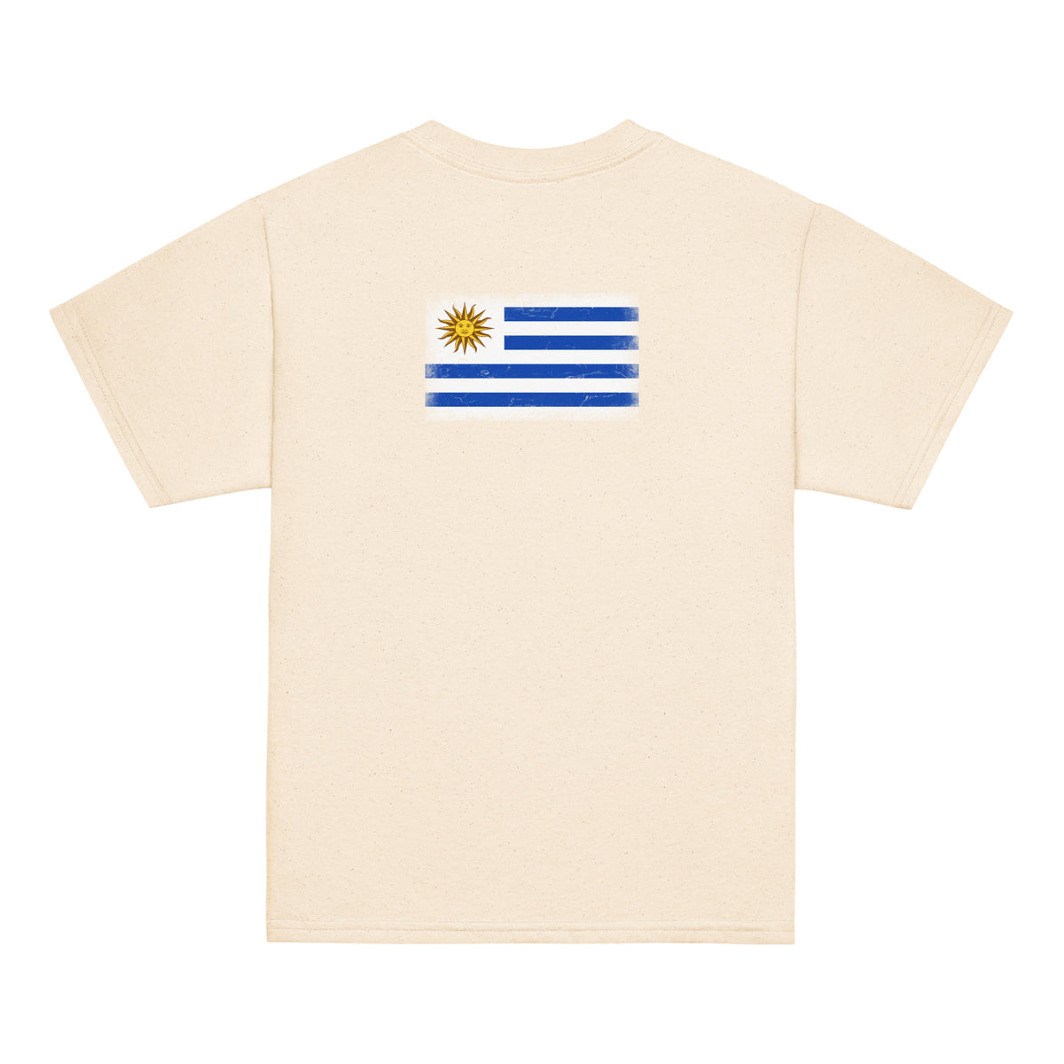 Uruguay flag t-shirt in Natural, vintage-washed print, flag across the upper back, kids cut, back view