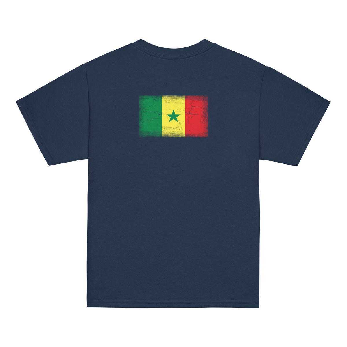 Senegal flag t-shirt in Navy, vintage-washed print, flag across the upper back, kids cut, back view