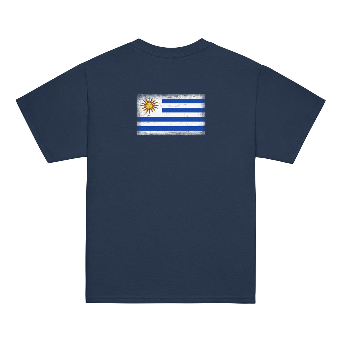 Uruguay flag t-shirt in Navy, vintage-washed print, flag across the upper back, kids cut, back view