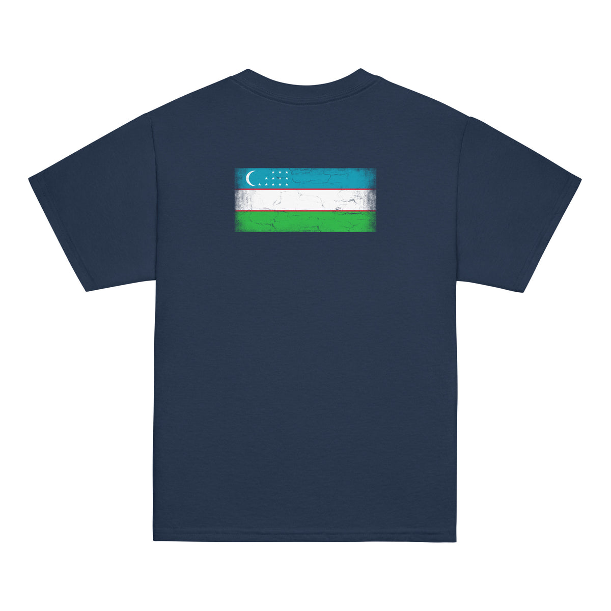 Uzbekistan flag t-shirt in Navy, vintage-washed print, flag across the upper back, kids cut, back view