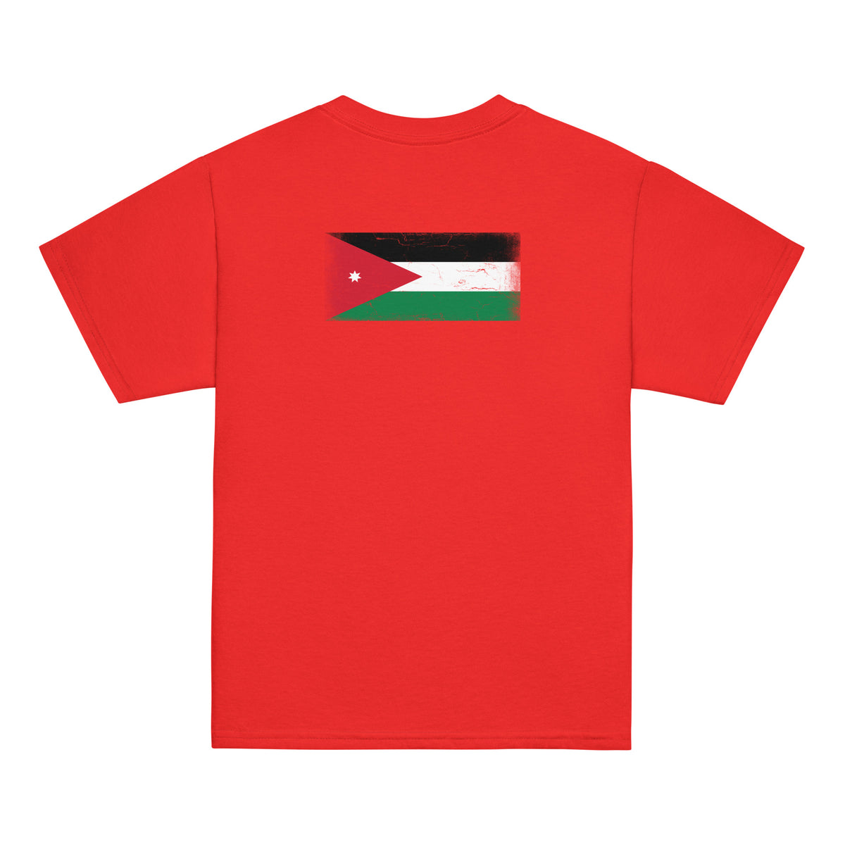 Jordan flag t-shirt in Red, vintage-washed print, flag across the upper back, kids cut, back view