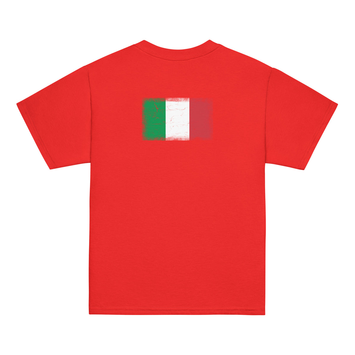 Italy flag t-shirt in Red, vintage-washed print, flag across the upper back, kids cut, back view