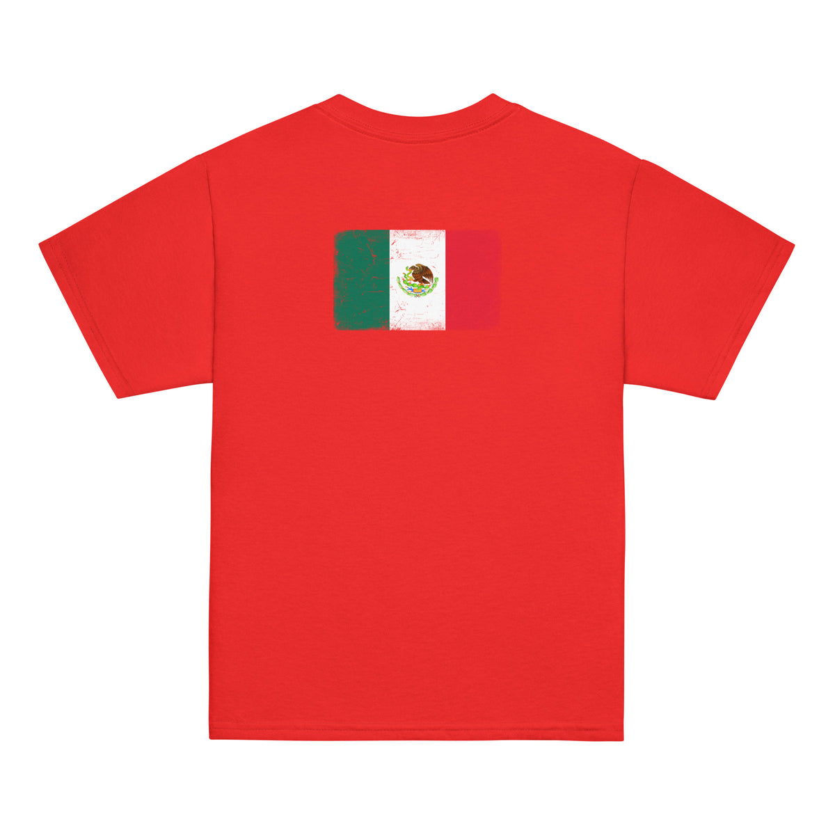 Mexico flag t-shirt in Red, vintage-washed print, flag across the upper back, kids cut, back view
