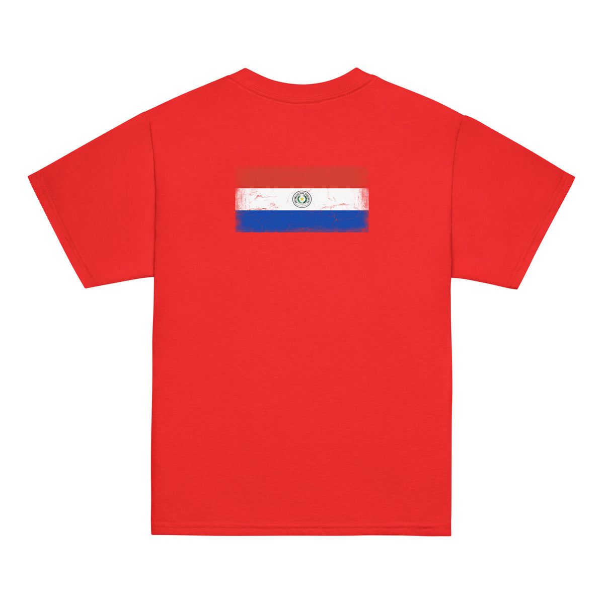Paraguay flag t-shirt in Red, vintage-washed print, flag across the upper back, kids cut, back view