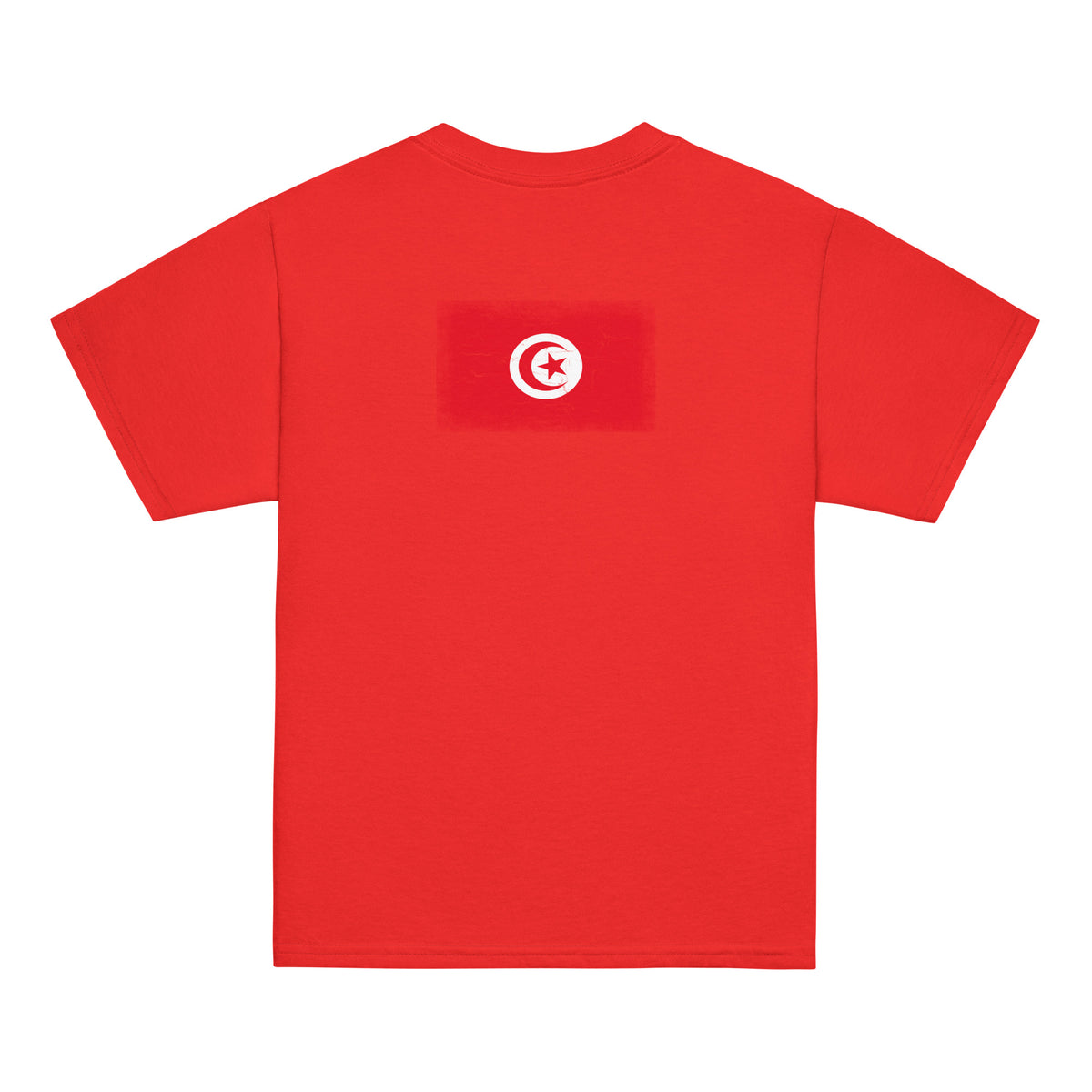 Tunisia flag t-shirt in Red, vintage-washed print, flag across the upper back, kids cut, back view