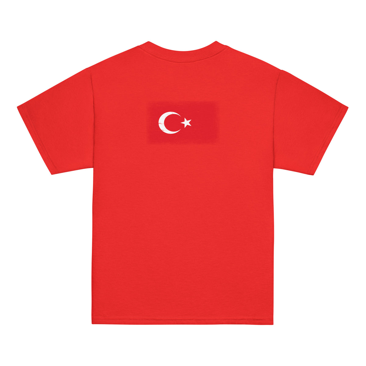 Turkey flag t-shirt in Red, vintage-washed print, flag across the upper back, kids cut, back view