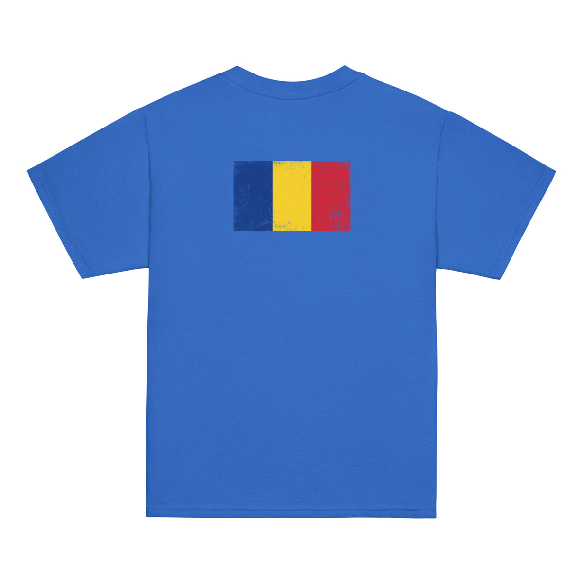 Romania flag t-shirt in Royal, vintage-washed print, flag across the upper back, kids cut, back view