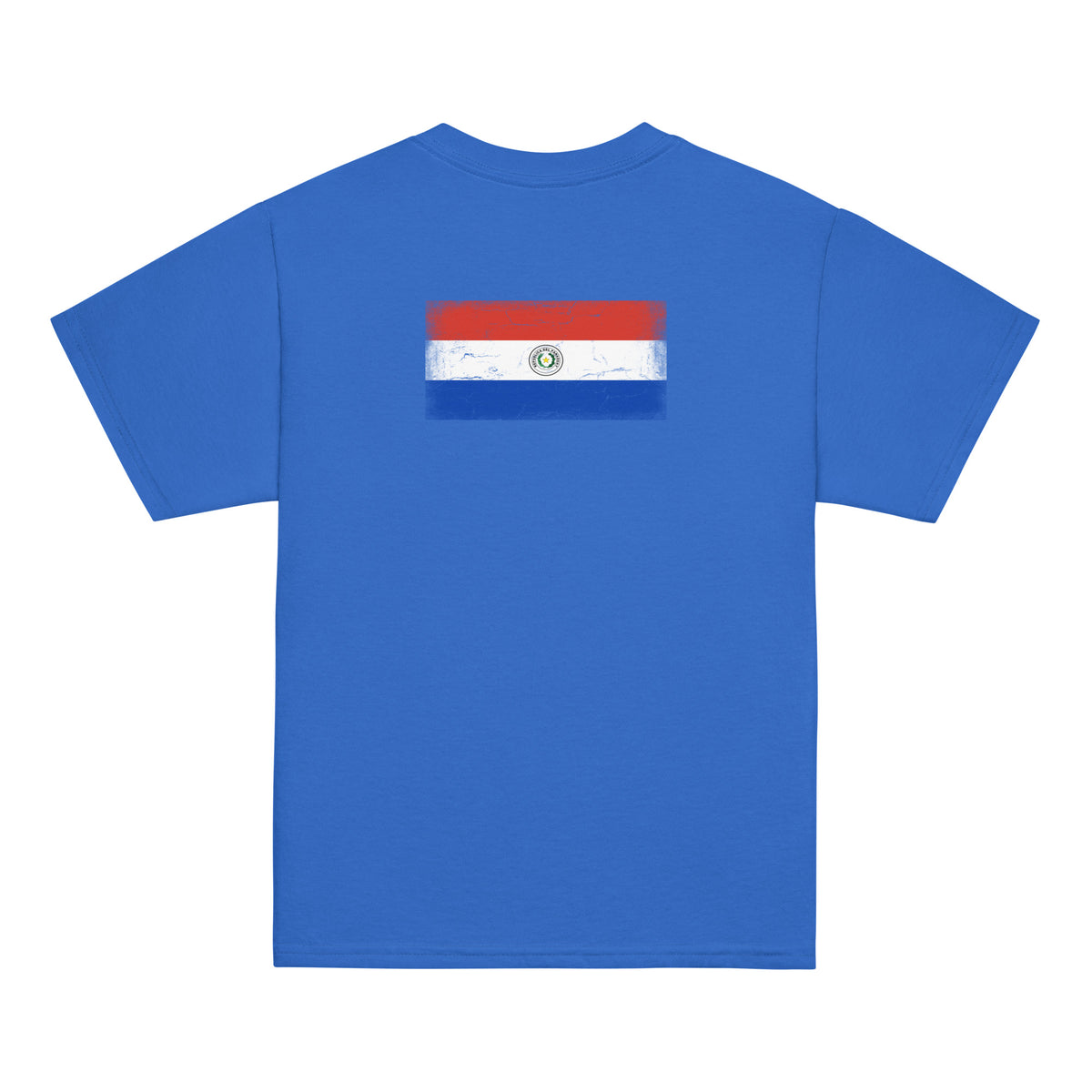 Paraguay flag t-shirt in Royal, vintage-washed print, flag across the upper back, kids cut, back view