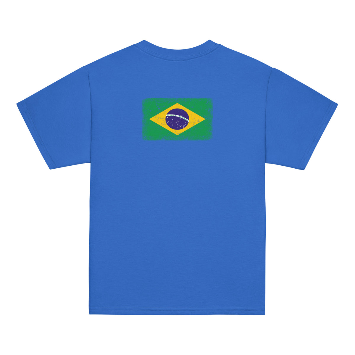 Brasil flag t-shirt in Royal, vintage-washed print, flag across the upper back, kids cut, back view