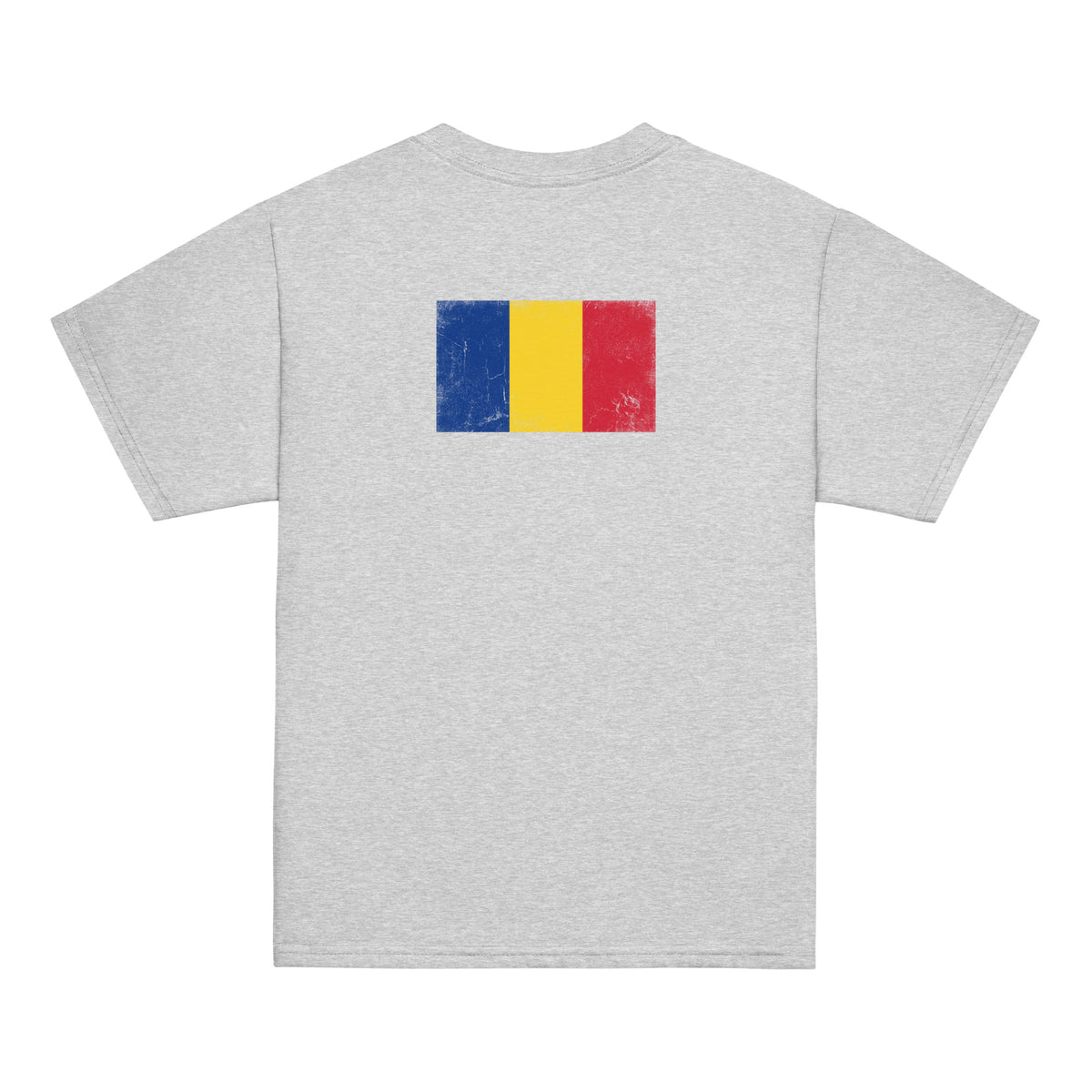 Romania flag t-shirt in Sport Grey, vintage-washed print, flag across the upper back, kids cut, back view