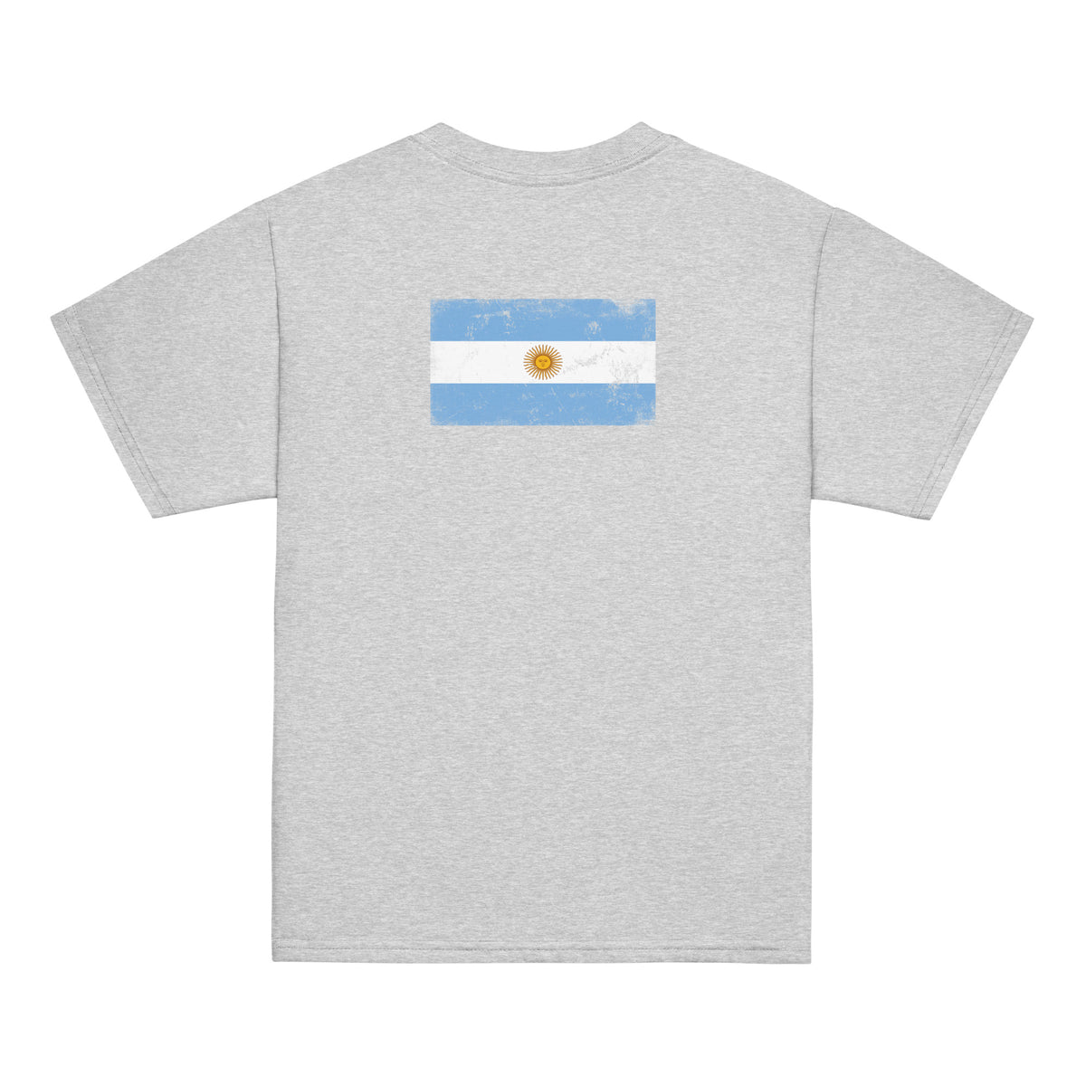 Argentina flag t-shirt in Sport Grey, vintage-washed print, flag across the upper back, kids cut, back view