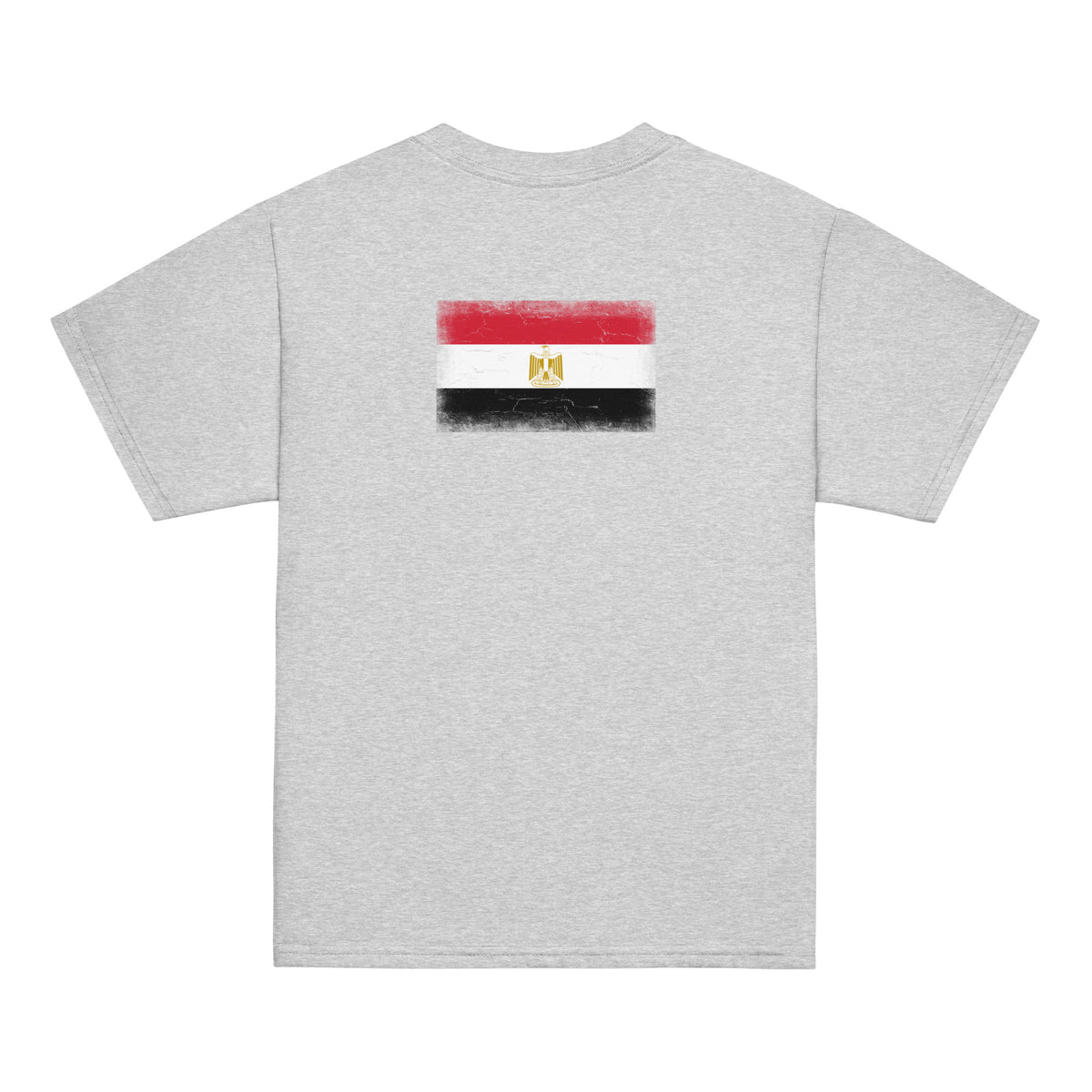 Egypt flag t-shirt in Sport Grey, vintage-washed print, flag across the upper back, kids cut, back view