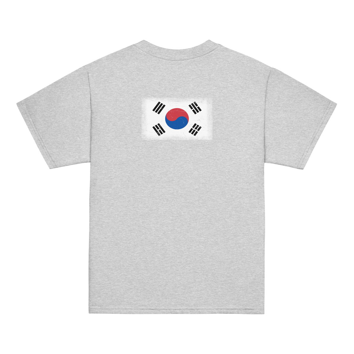 South Korea flag t-shirt in Sport Grey, vintage-washed print, flag across the upper back, kids cut, back view