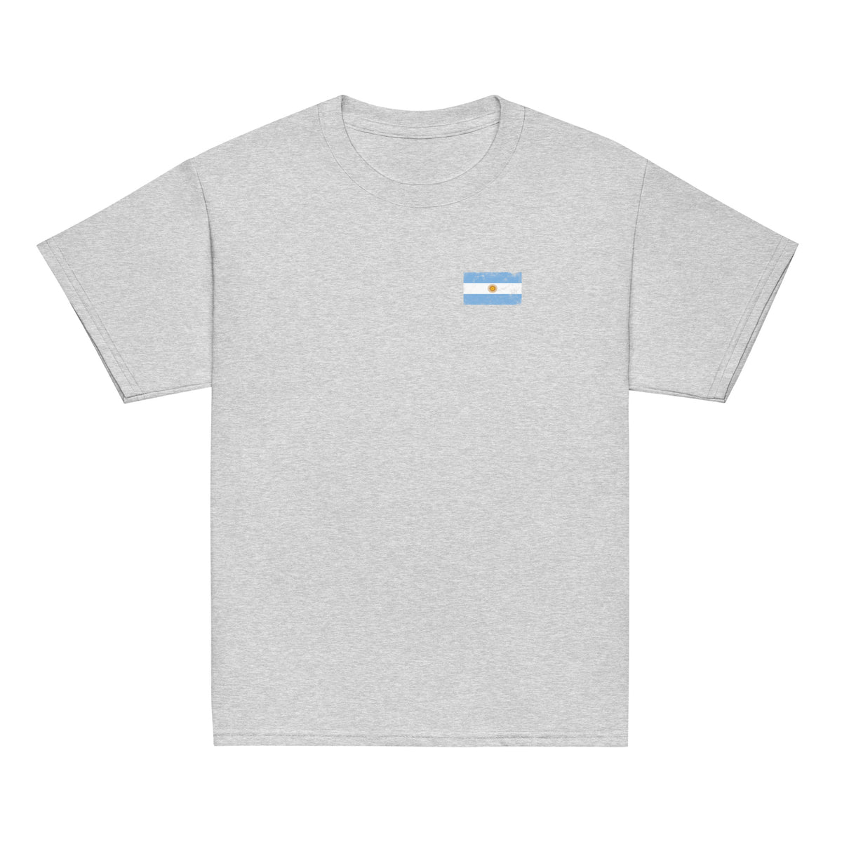 Argentina flag t-shirt in Sport Grey, vintage-washed print, small flag on the left chest, kids cut, front view