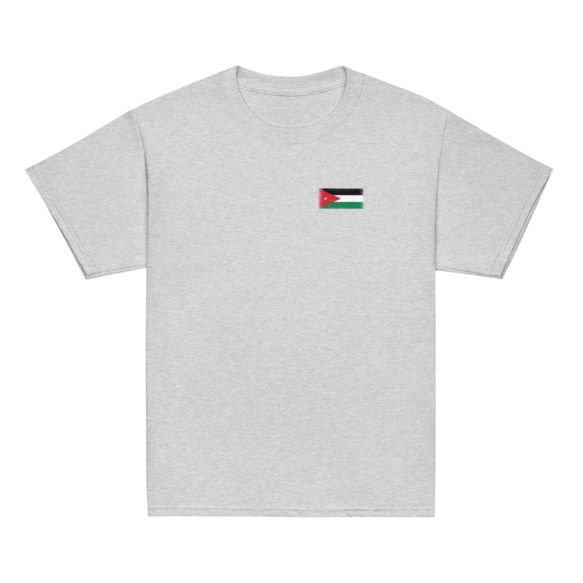 Jordan flag t-shirt in Sport Grey, vintage-washed print, small flag on the left chest, kids cut, front view