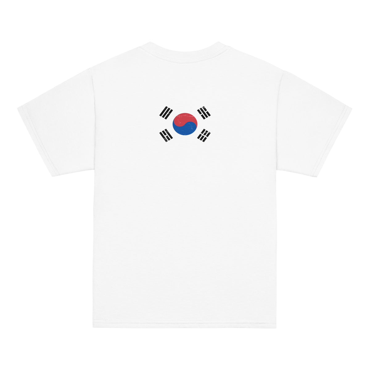 South Korea flag t-shirt in White, vintage-washed print, flag across the upper back, kids cut, back view