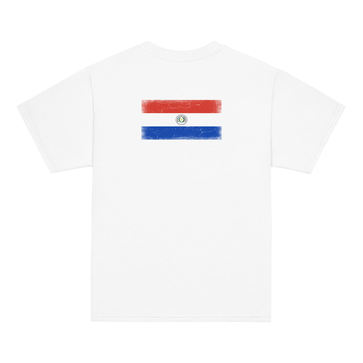 Paraguay flag t-shirt in White, vintage-washed print, flag across the upper back, kids cut, back view